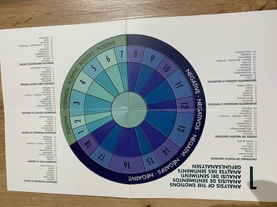 Consulente Futura - Immagine 4